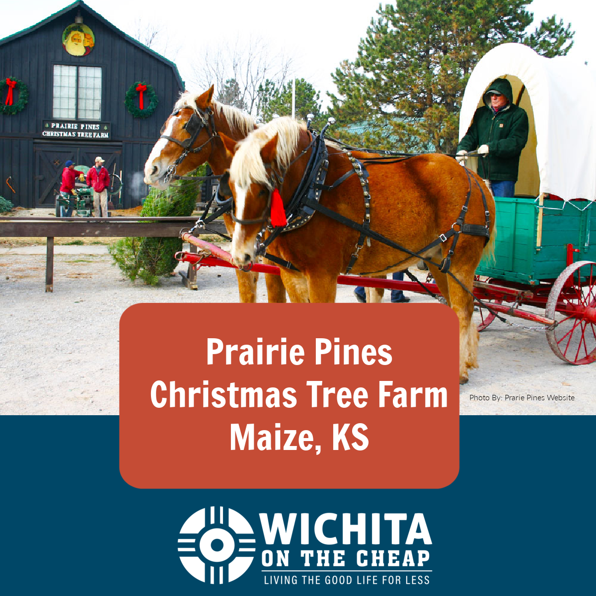 Prairie Pines Christmas Tree Farm 2023