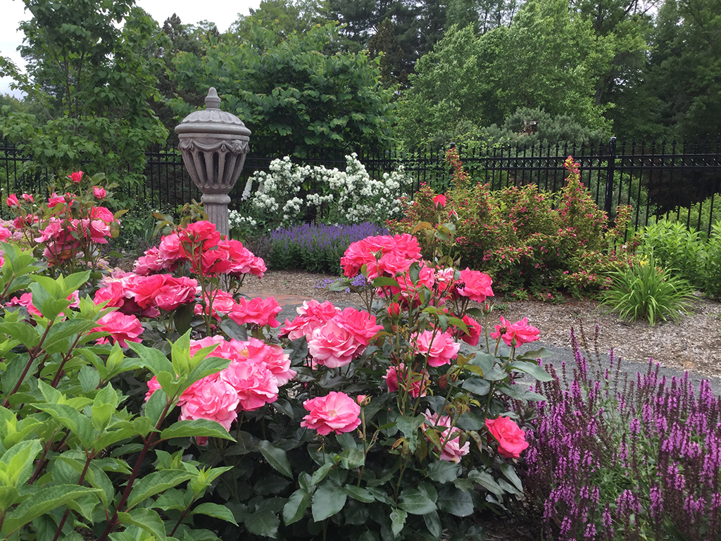 The Irish Garden Wickham Park