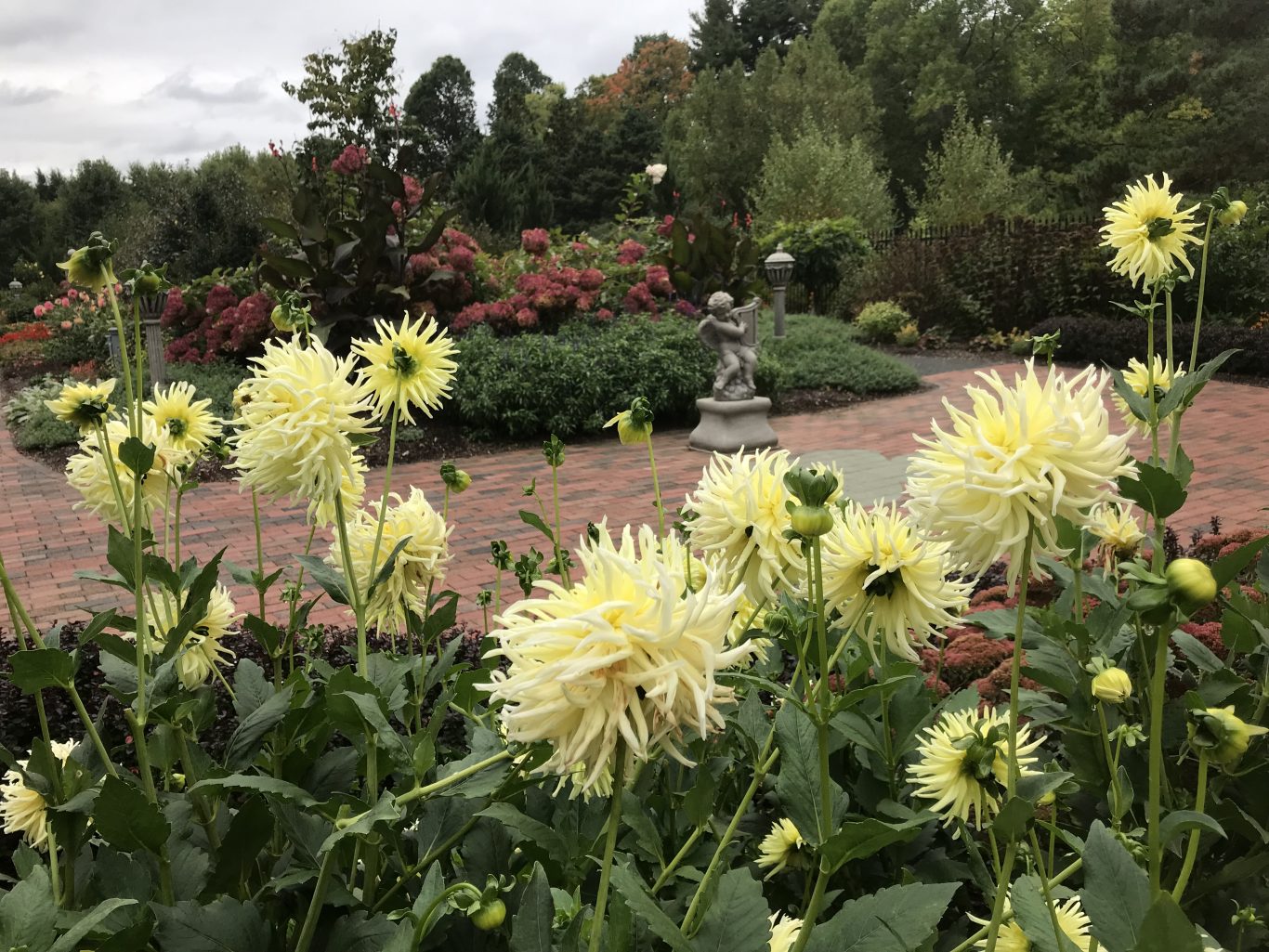 The Irish Garden Wickham Park