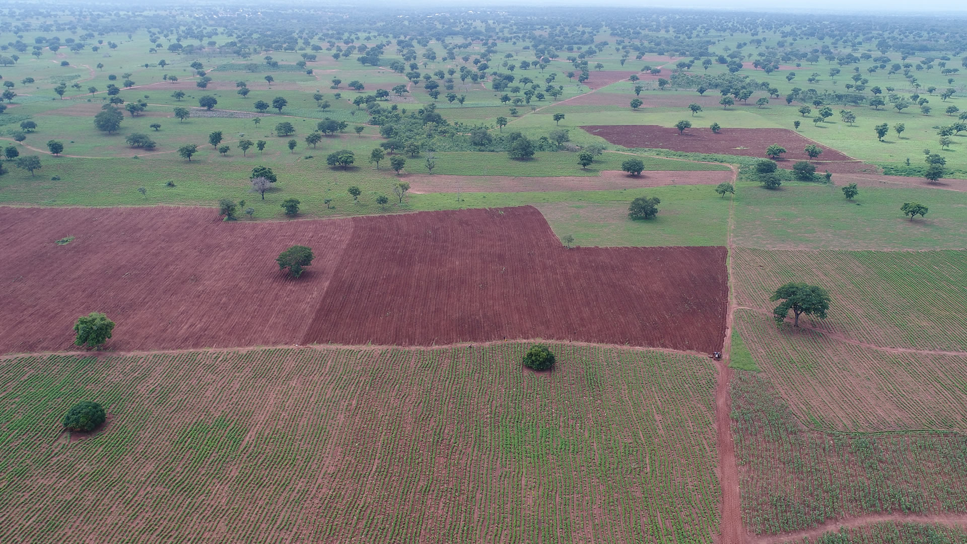 Wicklow Group Wicklow is an Agricultural Platform Company Wicklow