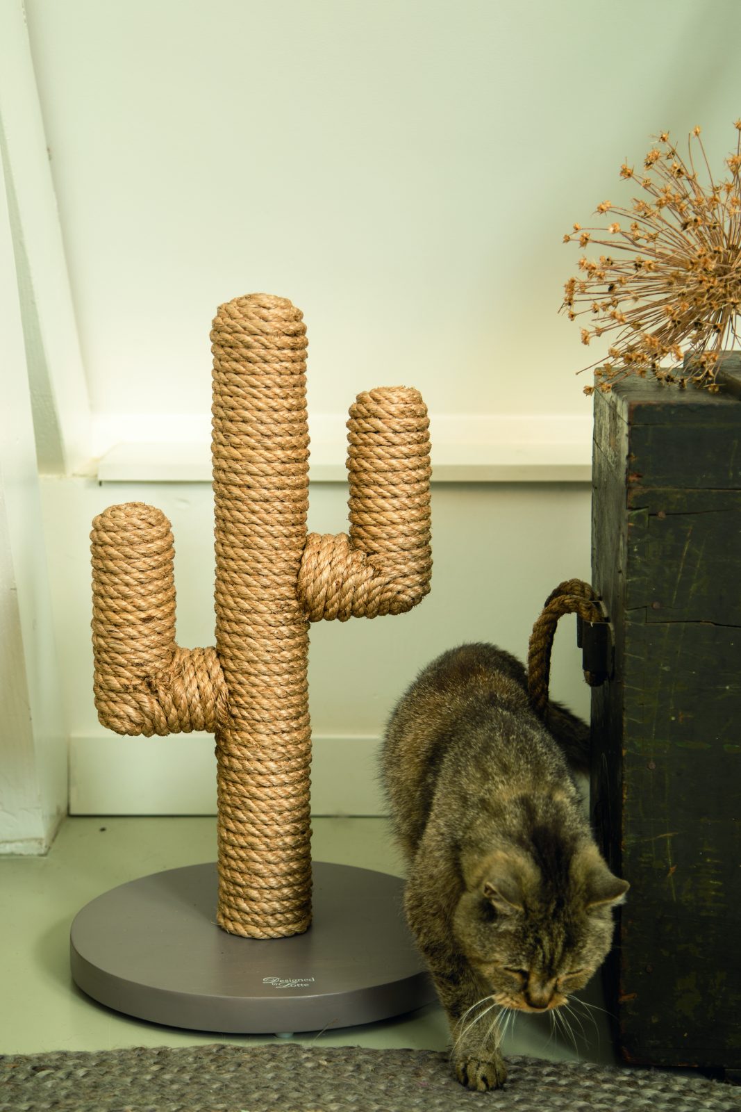 Designed by Lotte Cactus Scratching Post Wicklow Pet Hotel