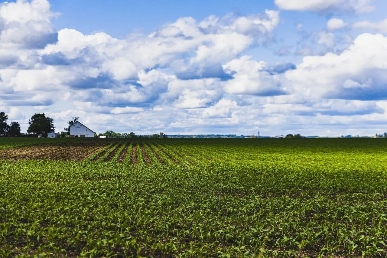 Which Candle Wax is Healthiest in 2024