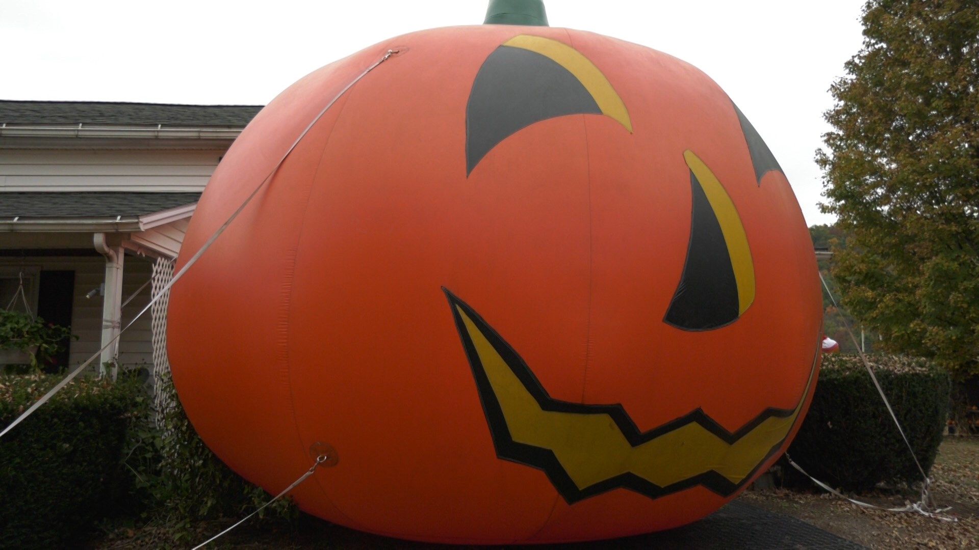 Iron Kettle Farm Opens Fall Attractions For 51st Year! WICZ