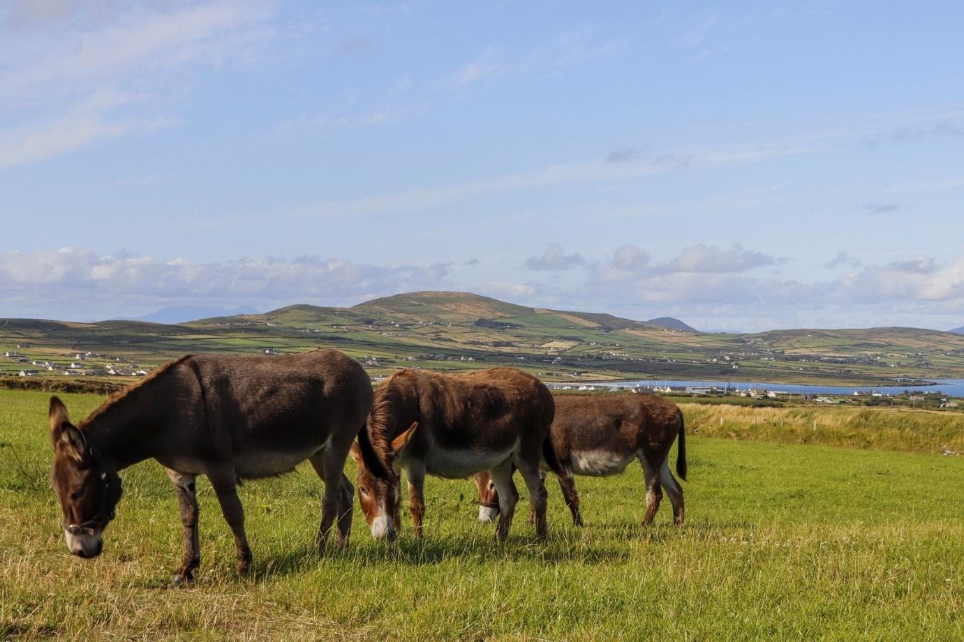 Travel Pictures of Ireland Wide Orbits