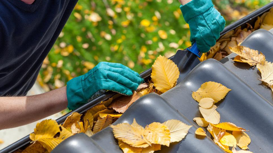 How To Inform Gutter Cleaners in Perth About Your Needs? World Wide