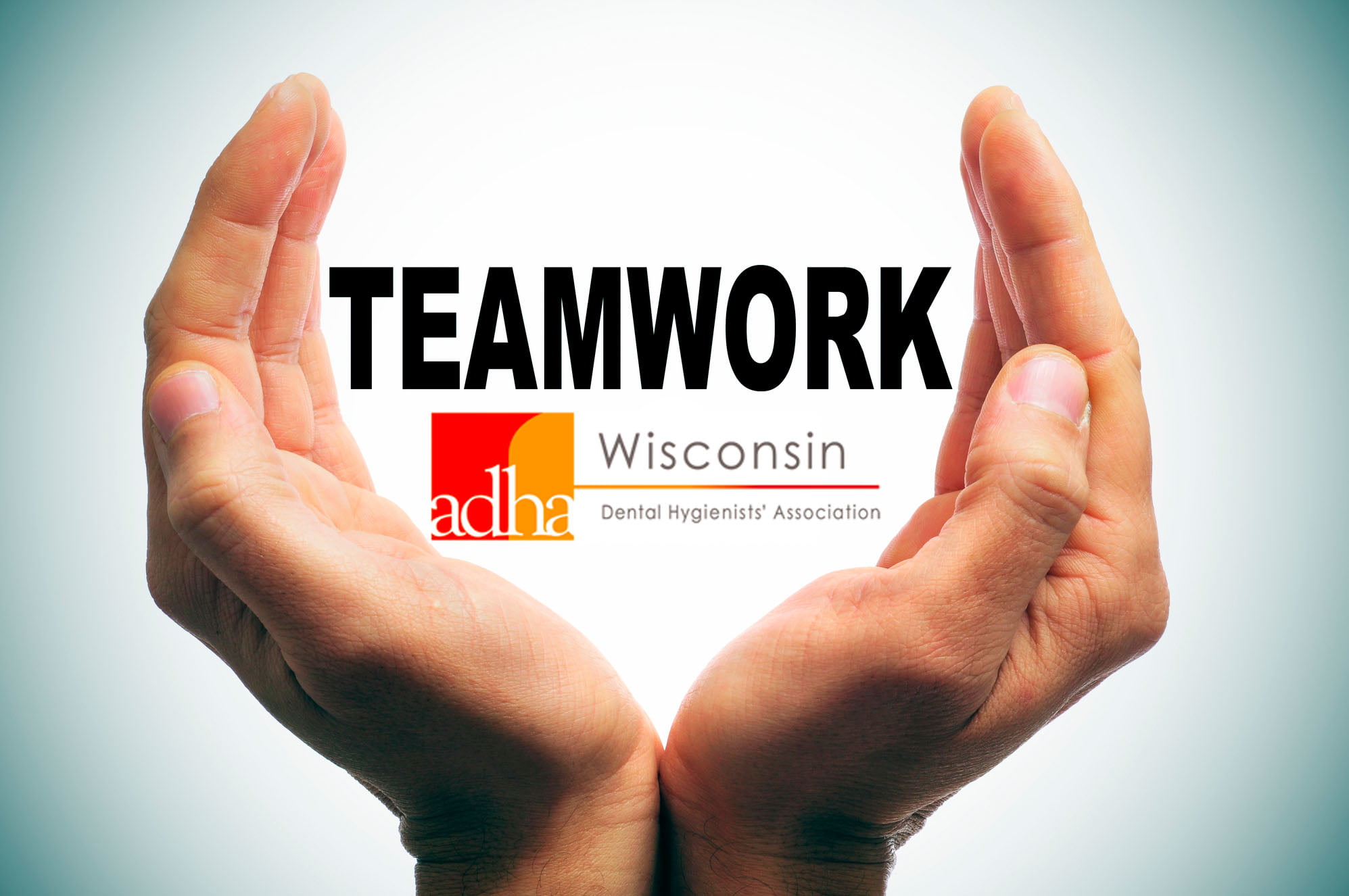 WIDHA Board of Directors Meeting WIDHA