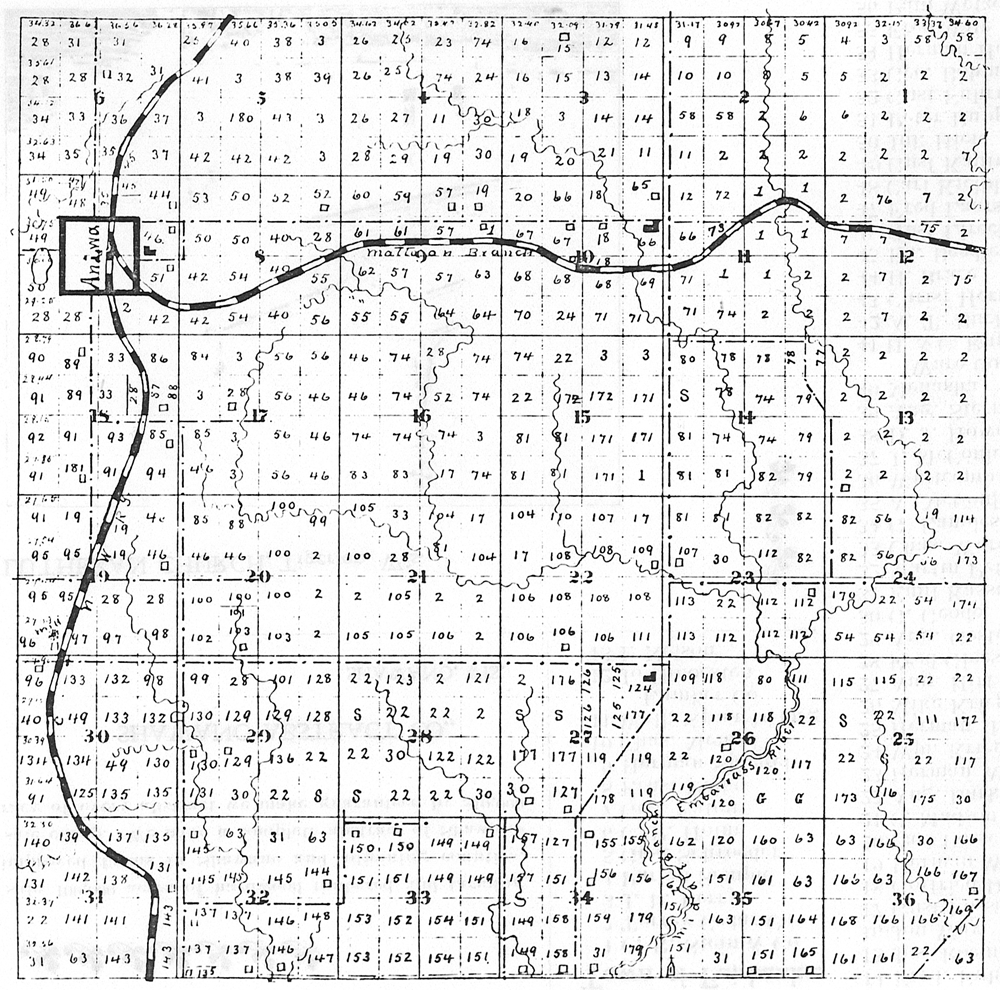 1898 Aniwa Township, Shawano County Plat Map, Township No. 29, Range No. 11