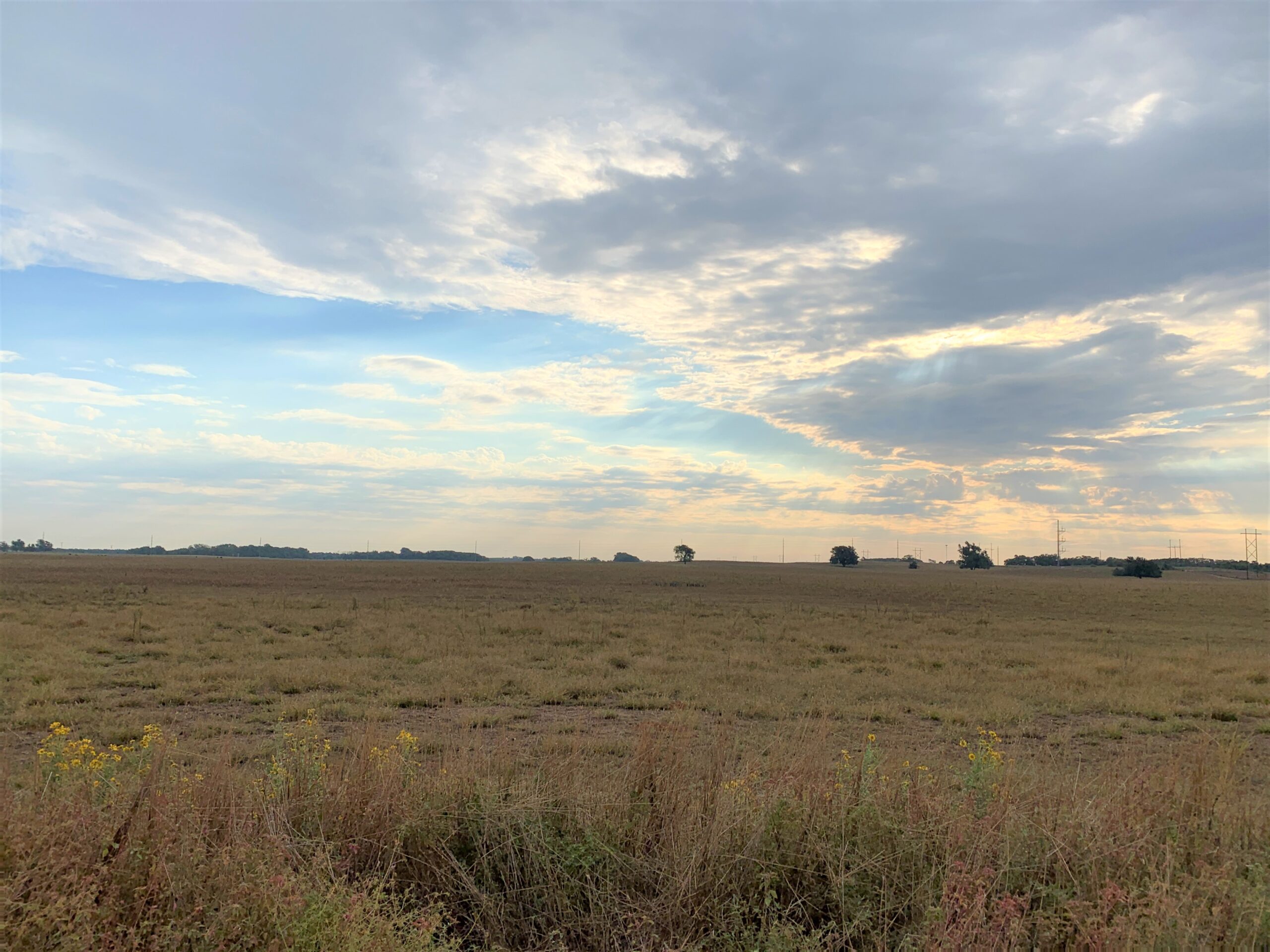 2 Contiguous Tracts of Major County Land Cleo Springs Area, OK Wiggins Auctioneers and Real