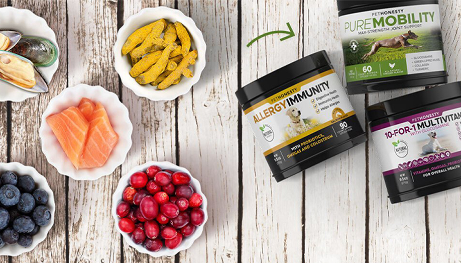 PetHonesty Partners With Wigglepon Wigglepon