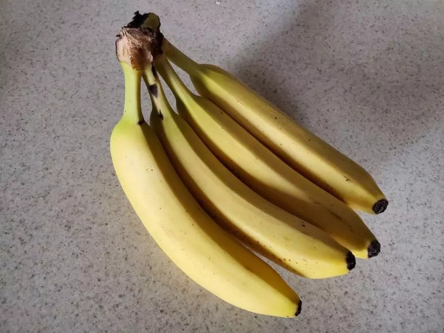10 Ways to Keep Fruit Flies Away from Bananas (And Fruit in General