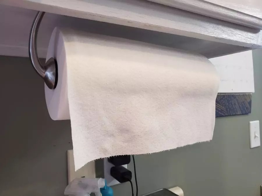 Can You Flush Paper Towels Down the Toilet? (Plus Safe Alternatives