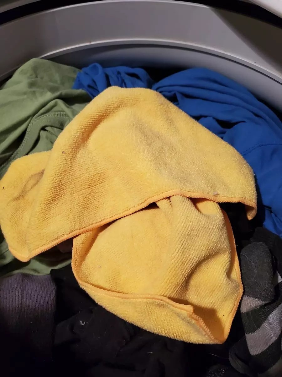 How to Remove Dog and Cat Hair from Clothes (and How To Prevent It