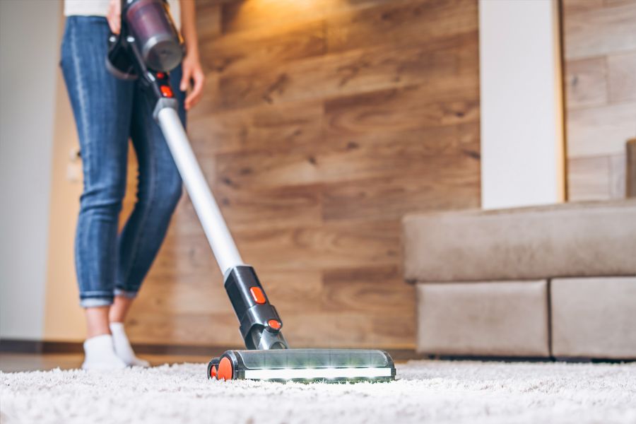 4 Smart Ways to Get Rid of Ants in Your Carpet
