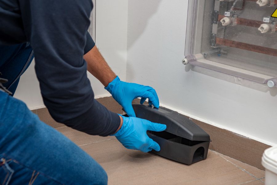 Mouse Kryptonite Do Mice Hate Aluminum Foil?