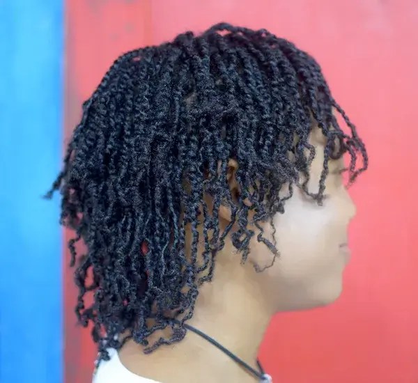 What is Microlocs Installation, Pros & Cons, and More