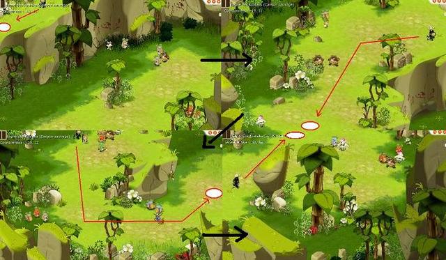 Donjon du Koulosse Wiki Dofus L'Encyclopédie Dofus
