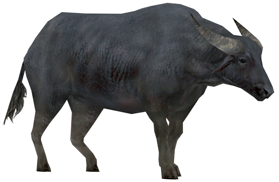 Water Buffalo Guild Wars Wiki (GWW)