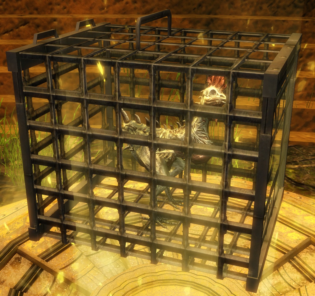 Caged Orrian Chicken Guild Wars 2 Wiki (GW2W)