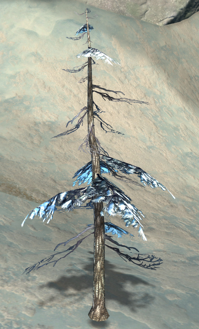 Fir Sapling Guild Wars 2 Wiki (GW2W)