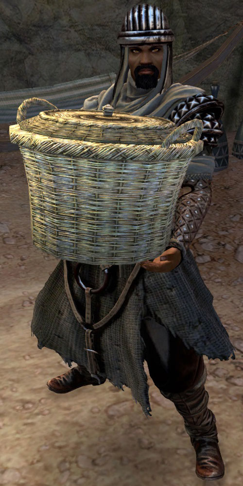 Cavalier Post Sentry Guild Wars 2 Wiki (GW2W)