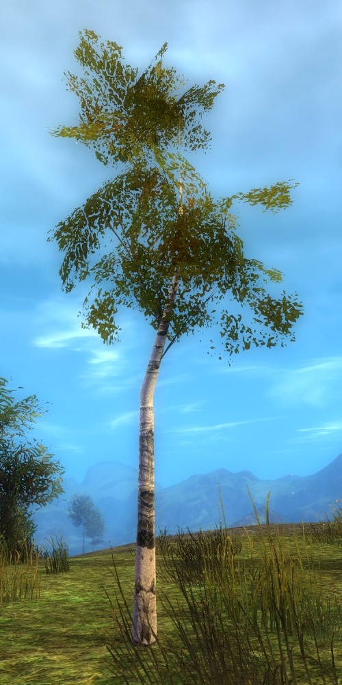 Aspen Sapling Guild Wars 2 Wiki (GW2W)