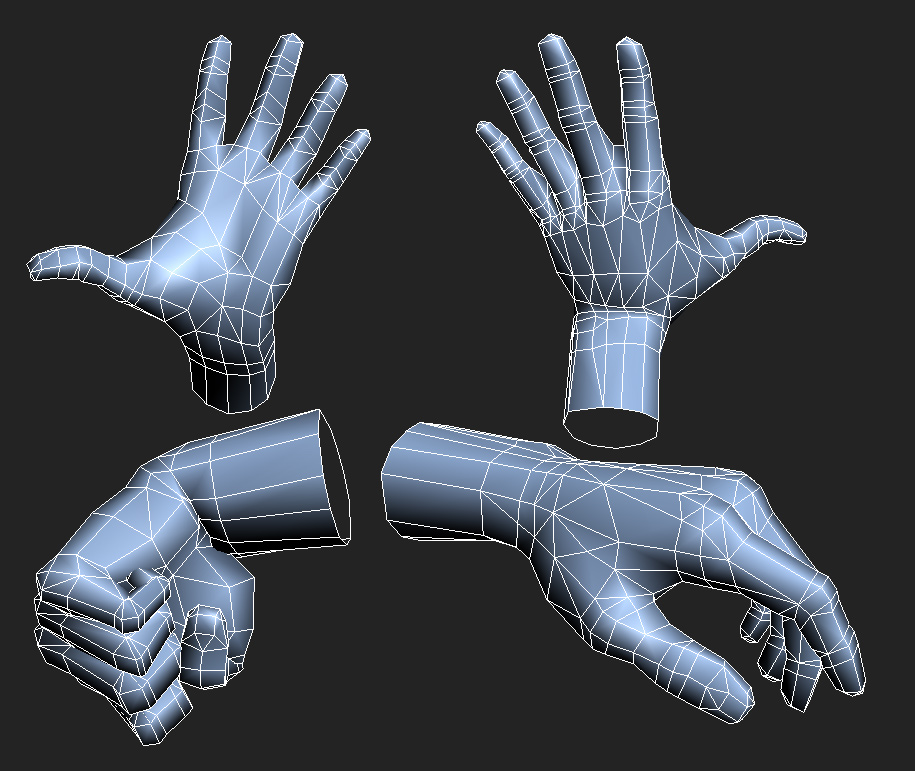 Limb Topology polycount