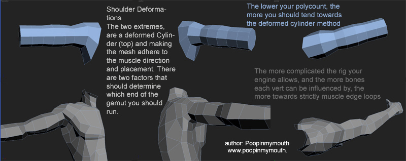 ShoulderTopology polycount