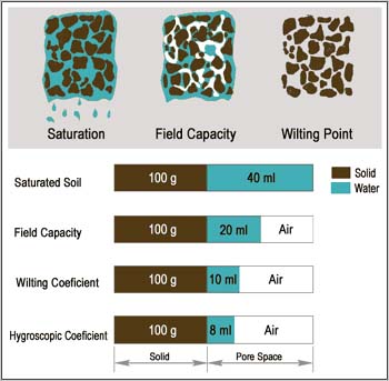 Lfs Soilweb Soil Components Soil Water Ubc Wiki