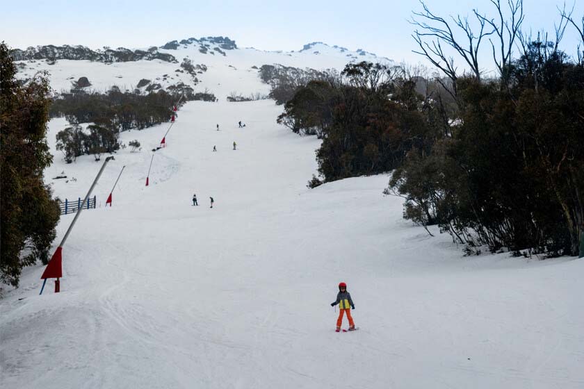 Guide to Thredbo, NSW Wiki Australia