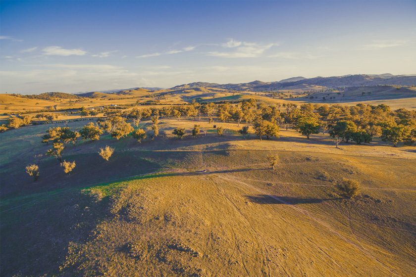 Guide to Bookham, NSW Wiki Australia