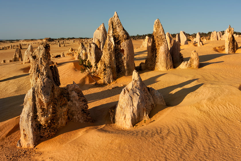 Guide to The Pinnacles, WA Wiki Australia
