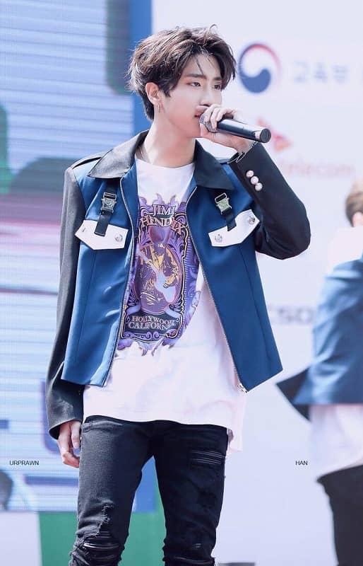 Han Jisung Biography, Age, Wiki, Height, Weight, Girlfriend, Family & More