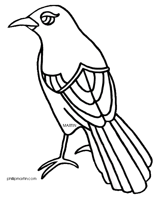 Mockingbird clipart 3 WikiClipArt