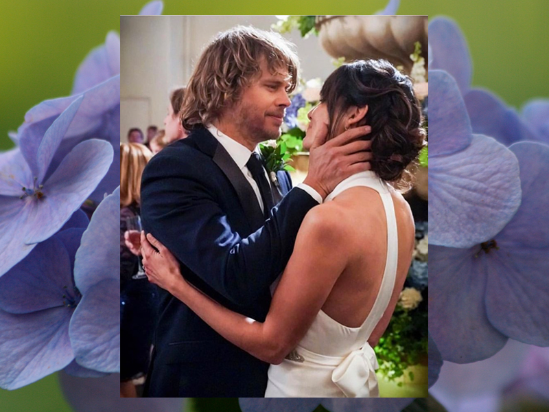 A wikiDeeks Wedding Roundtable wikiDeeks Marty Deeks