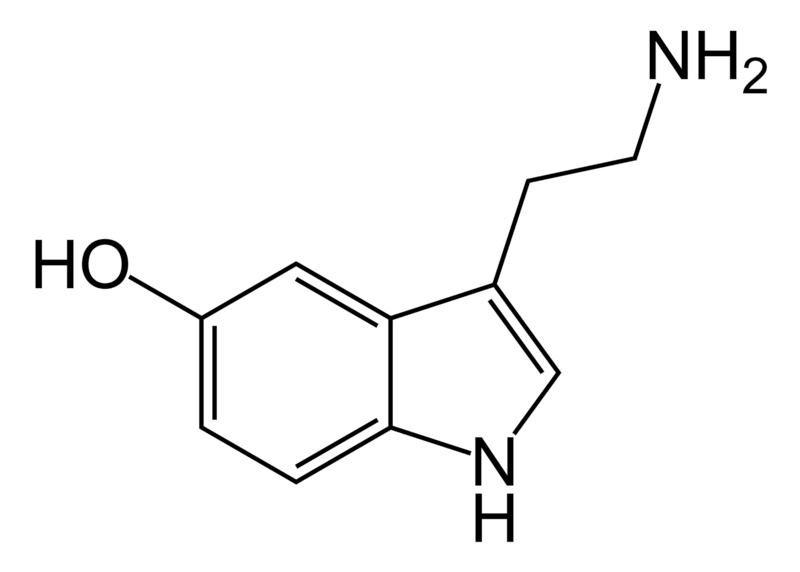 Serotoninnorepinephrine reuptake inhibitor wikidoc