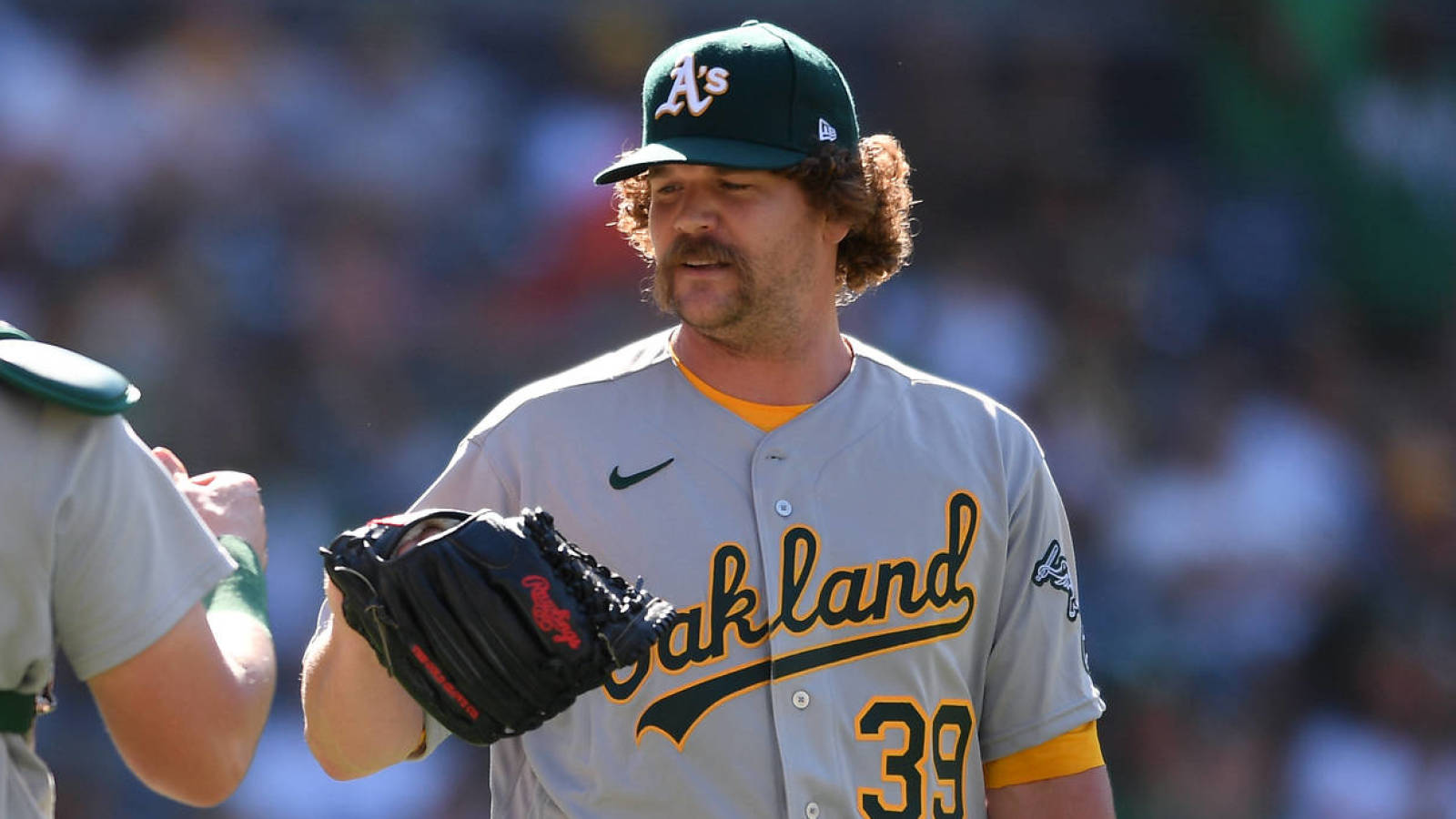 Andrew Chafin (Baseball Player) Wiki, Biography, Age, Girlfriends