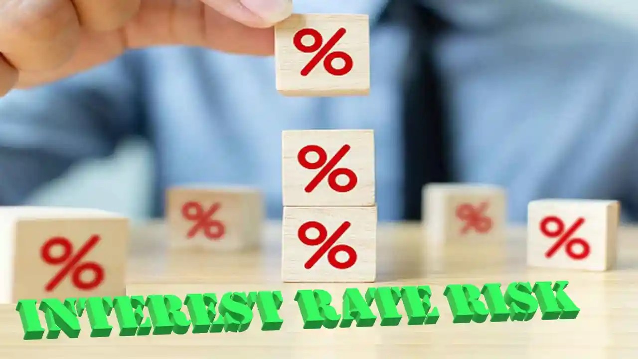 Interest Rate Risk Definition, Examples, Types, How to Manage it