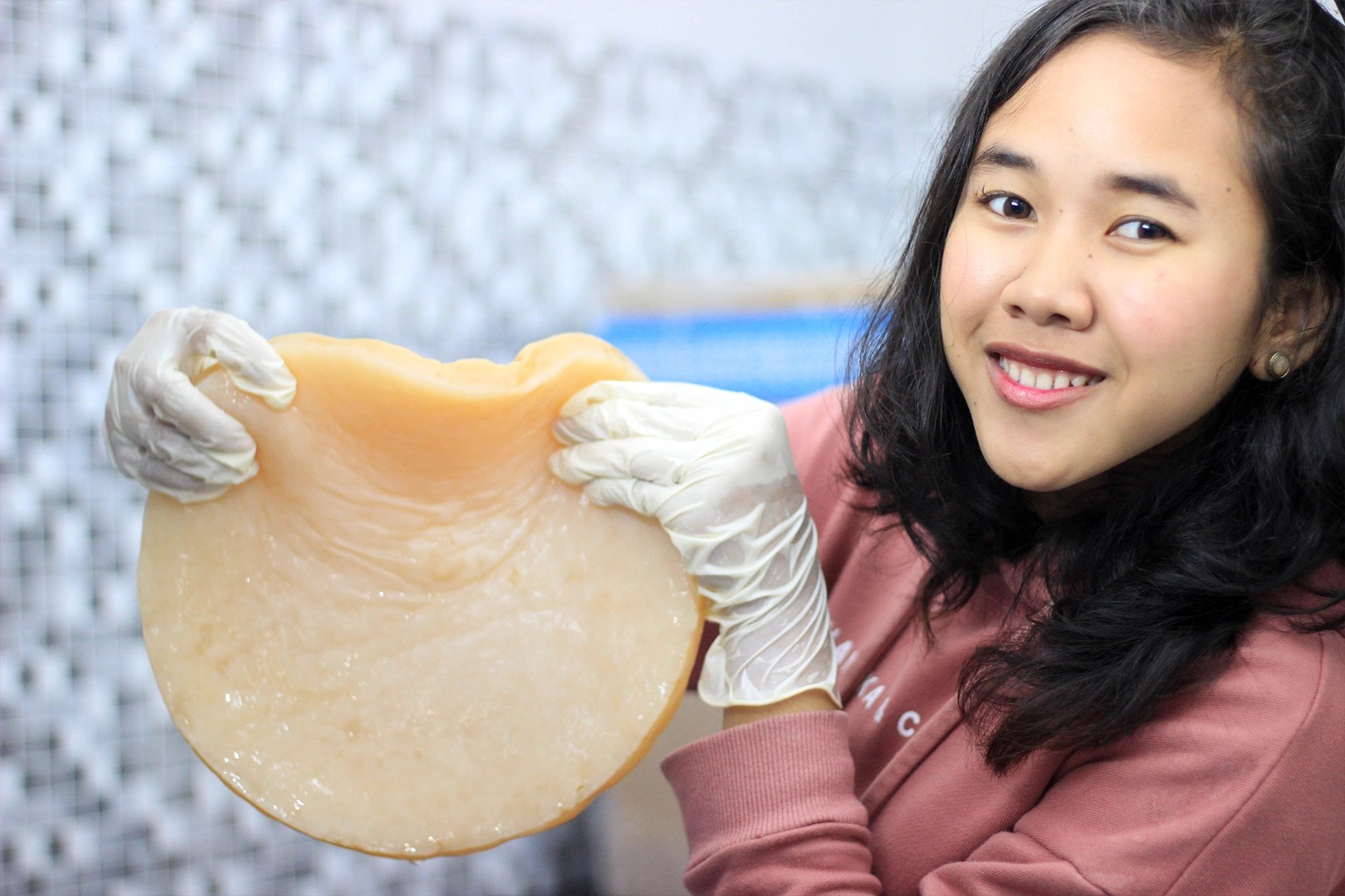 Apa Itu Scoby Dan Fungsinya? Wiki Kombucha