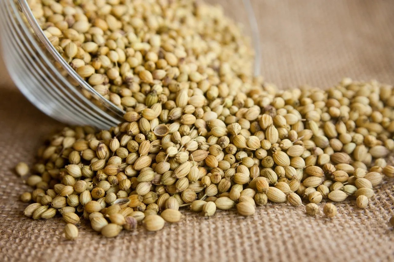 coriander, seeds, seasoning