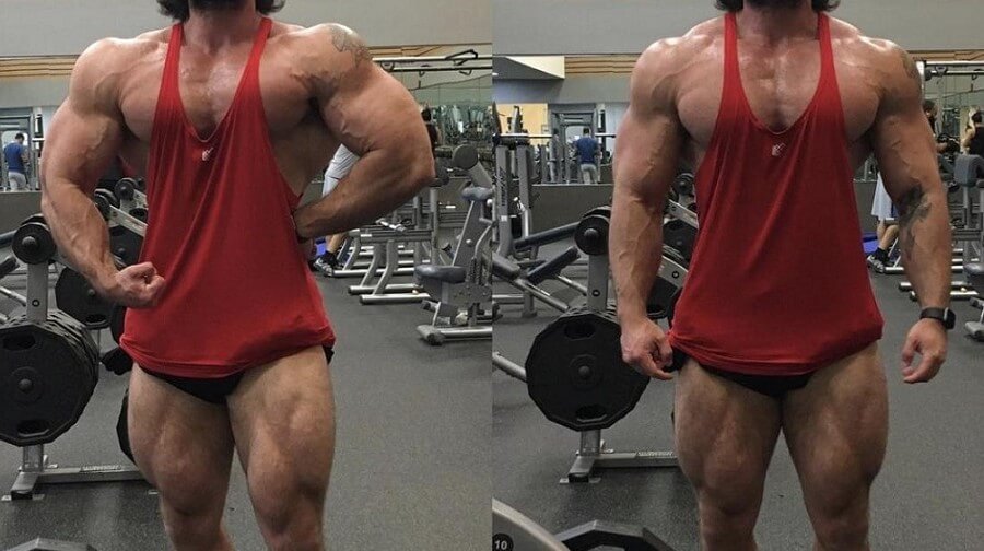 How to Maintain Your Gains from a RAD 140 Cycle with PCT WikiStero The Bible of Anabolic