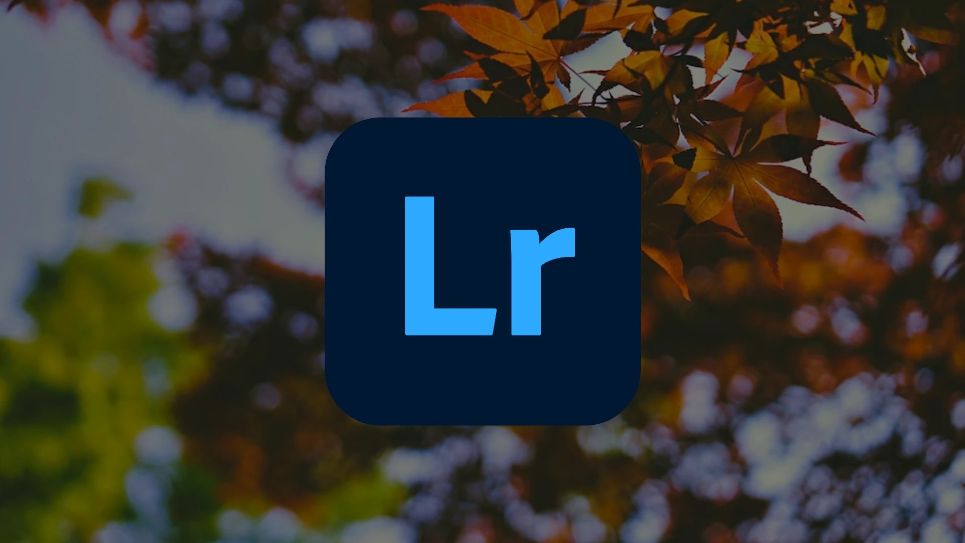 How to Blur the Background of Your Photo in Adobe Lightroom