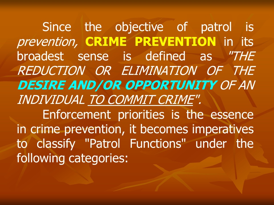 Police Patrol 2 WILBER