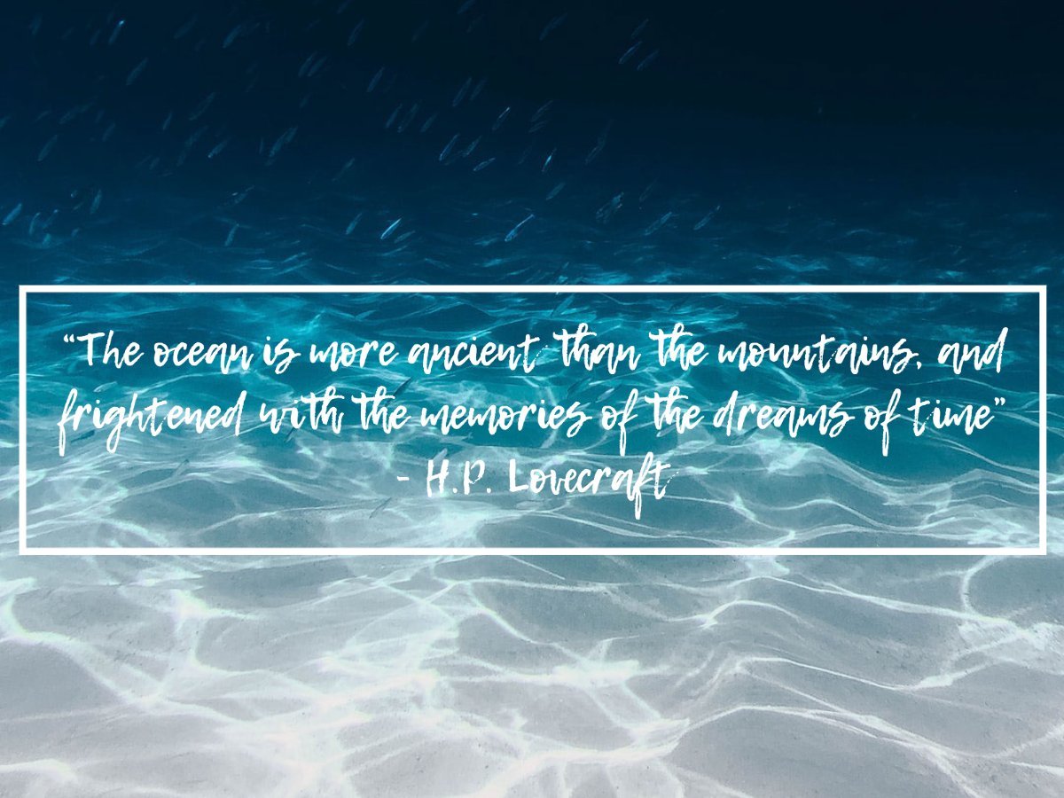 90+ Scuba Diving Quotes That Put Your Love of the Ocean into Words