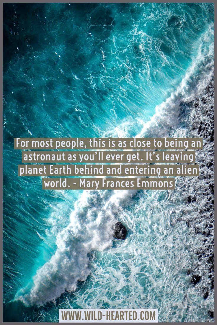 90+ Scuba Diving Quotes That Put Your Love of the Ocean into Words