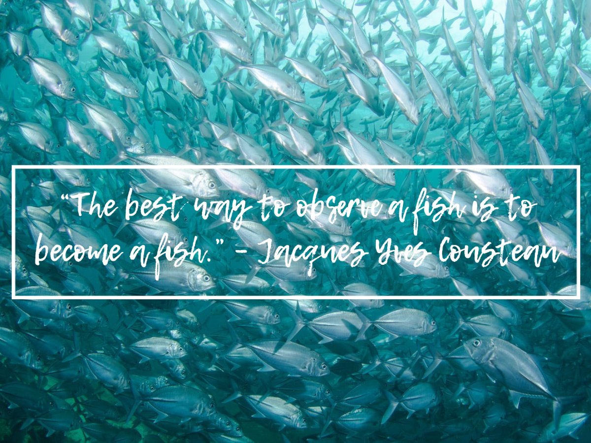 90+ Scuba Diving Quotes That Put Your Love of the Ocean into Words