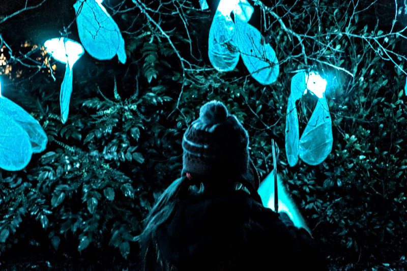 Glow Wild afterdark at Wakehurst Wild About Here