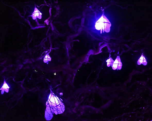 Glow Wild afterdark at Wakehurst Wild About Here