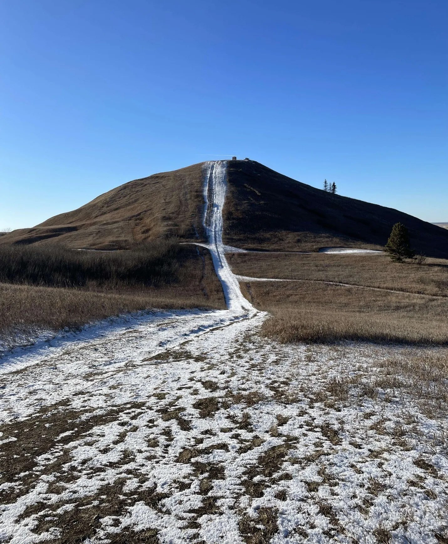 Blackstrap Provincial Park Wild About Saskatoon