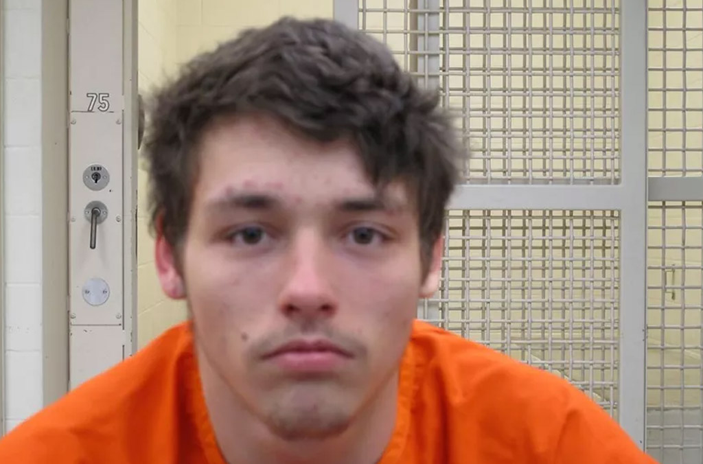 Illinois man pleads guilty to charges Latest