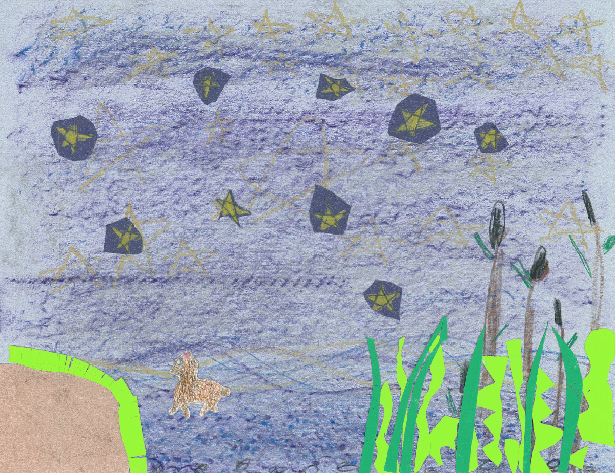 Habitat Heroes Explore More Utah Biomes Wild About Utah